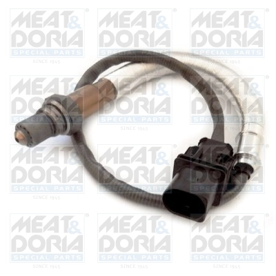 Oxygen Sensor